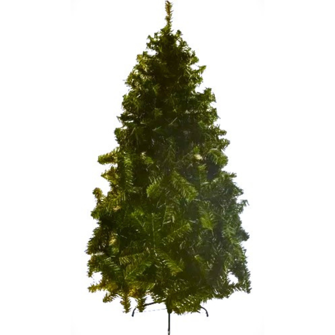 PINO ALBANIA 180CM BASE METALICA