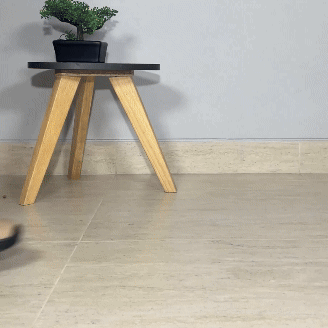 Calzado Cat Corte Bajo