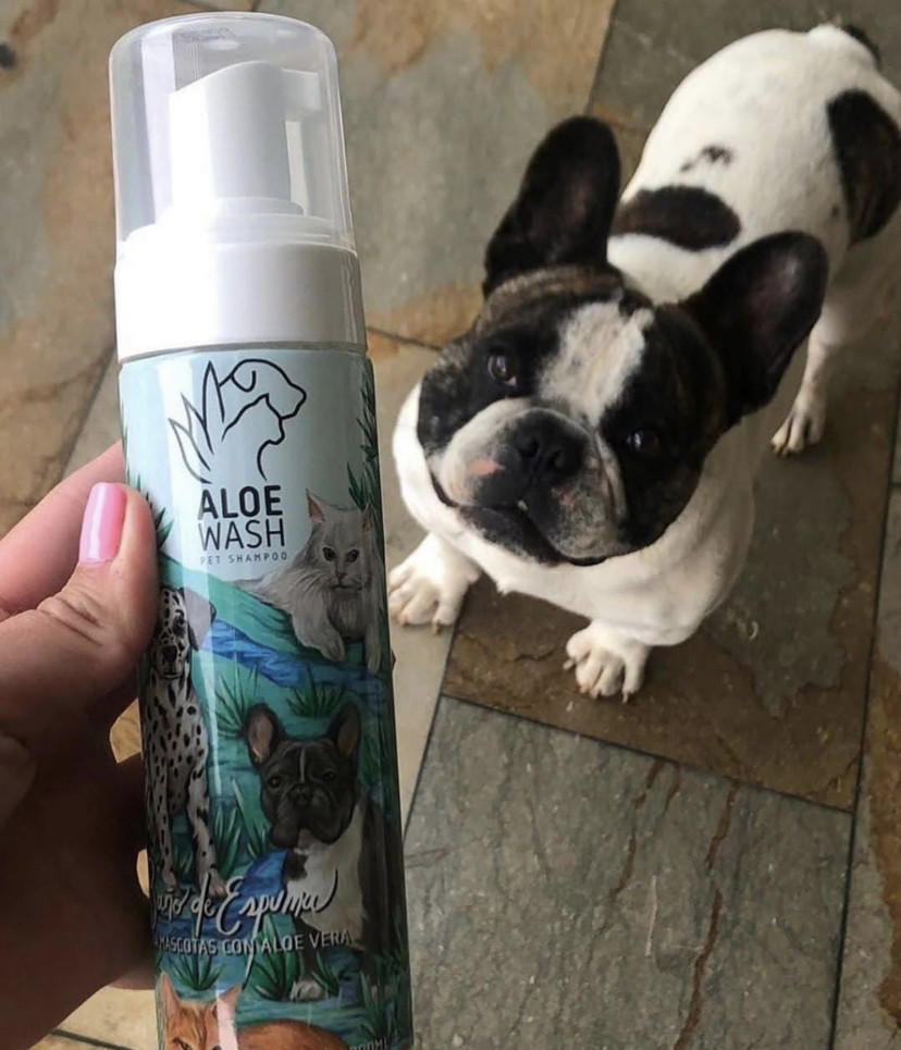 Shampoo En Seco De Aloe Perros Y Gatos 2