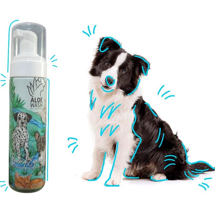 Shampoo En Seco De Aloe Perros Y Gatos 4