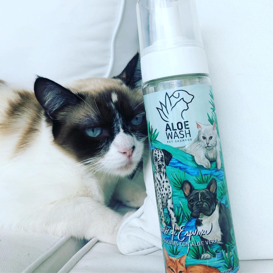 Shampoo En Seco De Aloe Perros Y Gatos 7