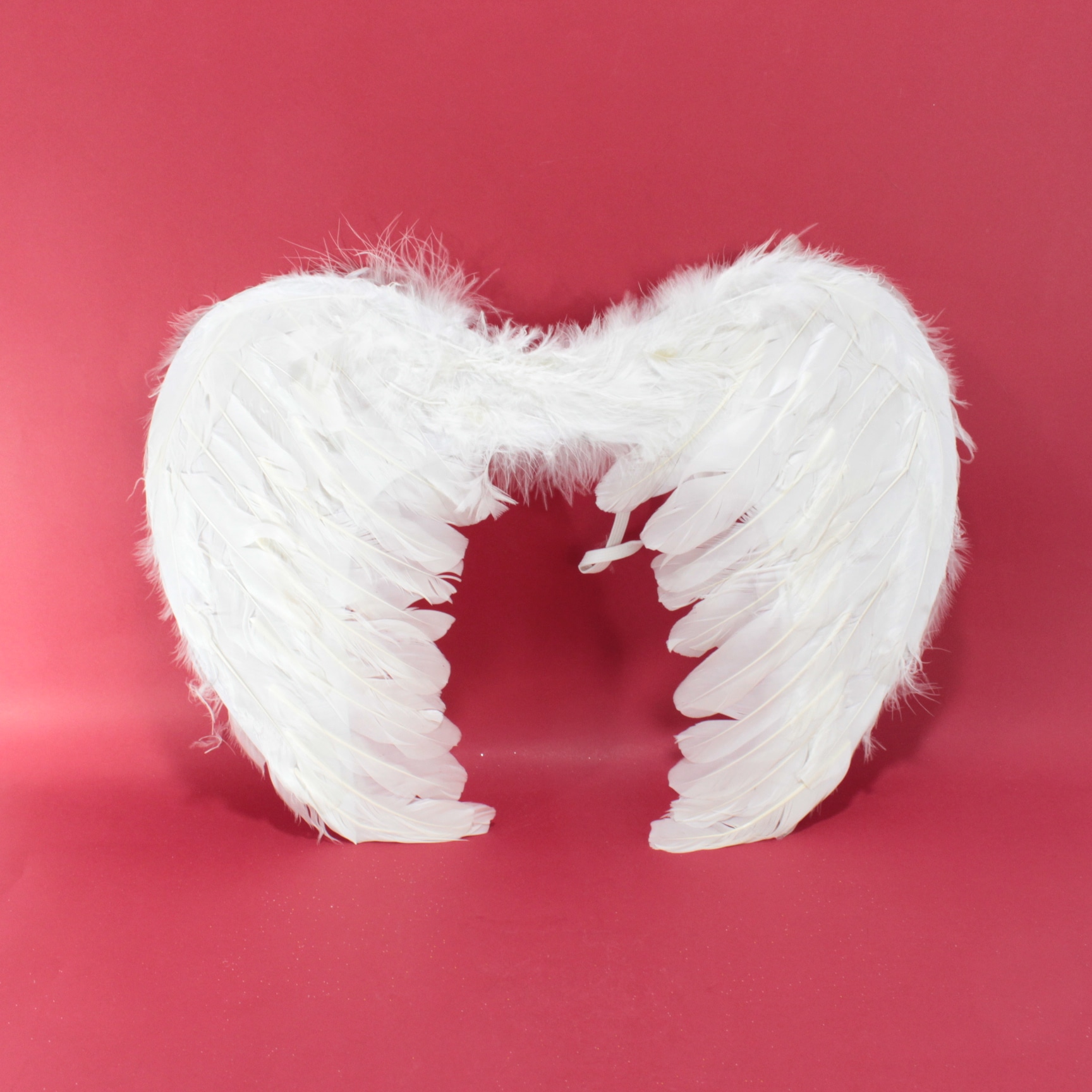 Alas de ángel pequeñas BLANCAS