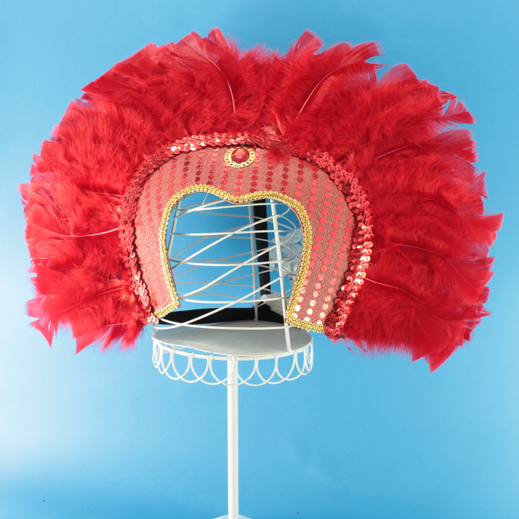 Miniatura 3 de Penacho plumas festival