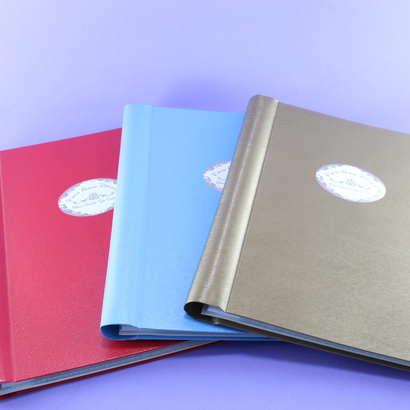 Miniatura 5 de Álbum fotográfico x 116