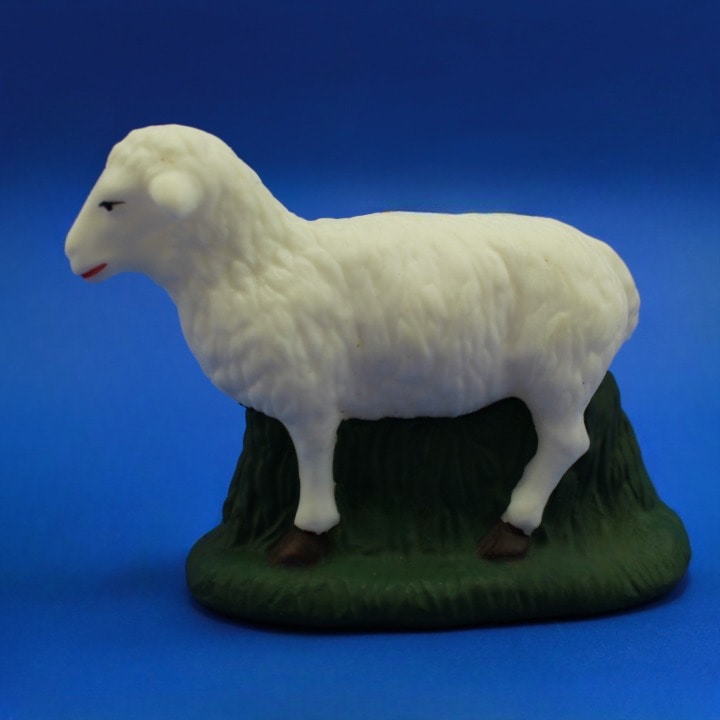 OVEJA  18 CMS
