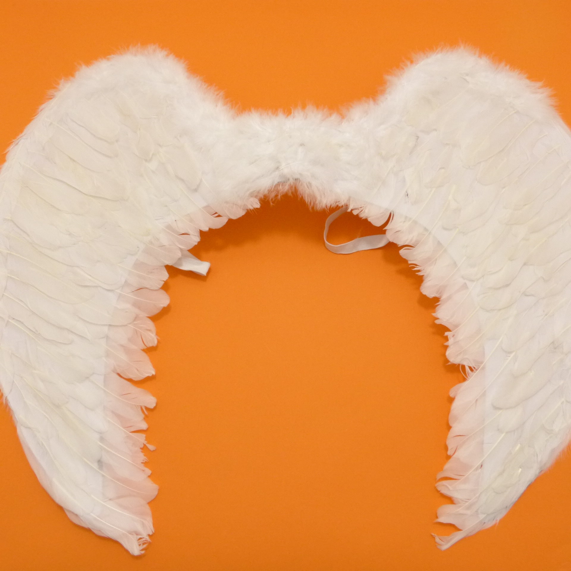 Alas de ángel blanca