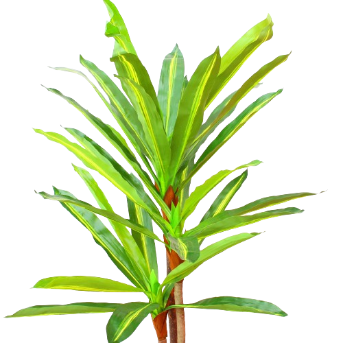 Miniatura 2 de PLANTA ARTIFICIAL ARBOL DE LA FELICIDAD