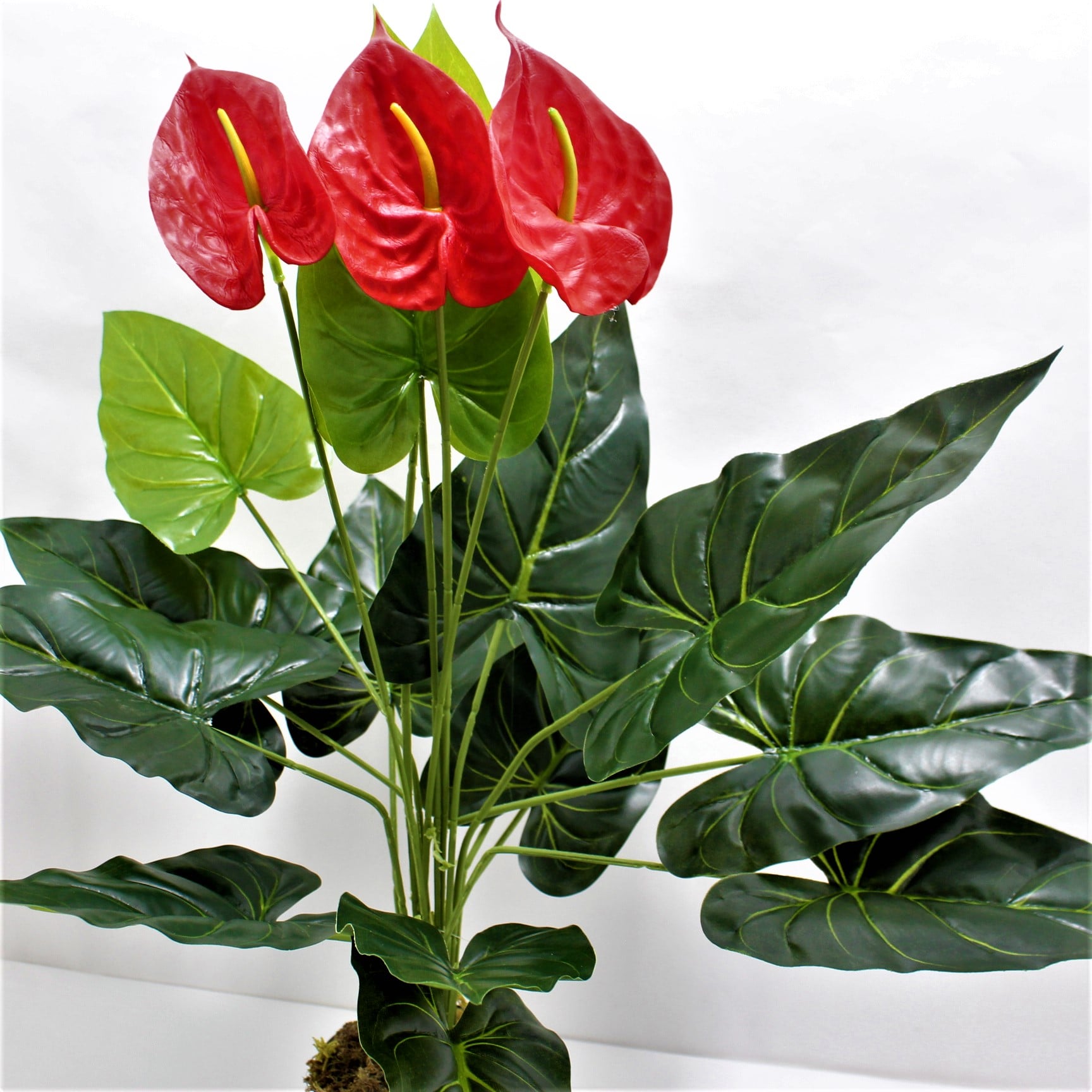 Miniatura 2 de Planta artificial Anturio