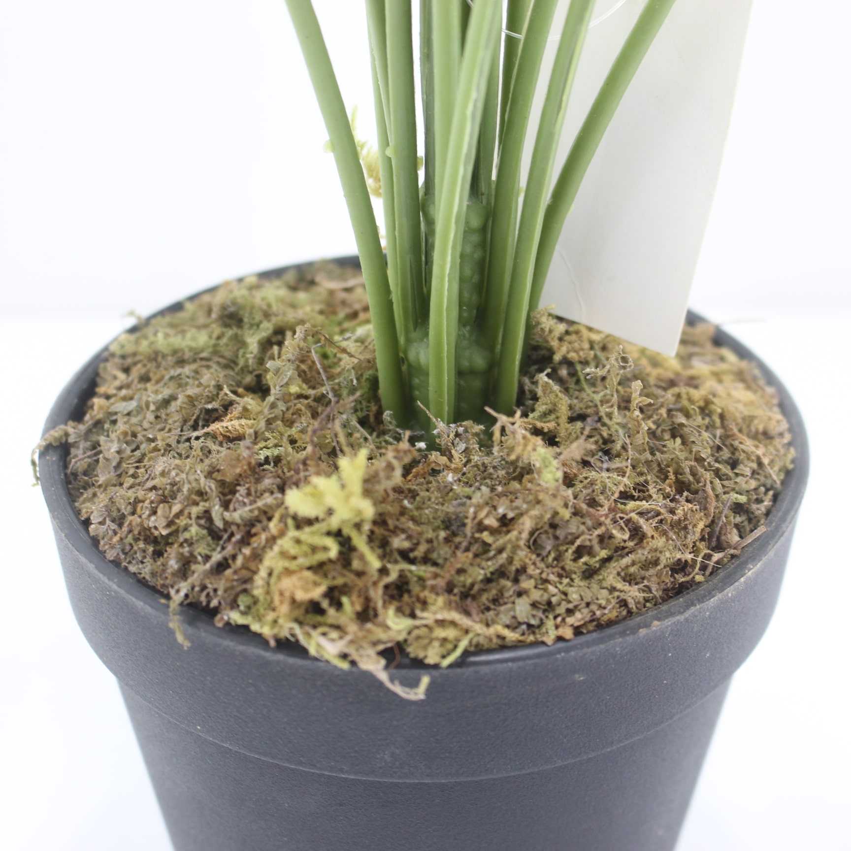 Miniatura 5 de Planta artificial Anturio