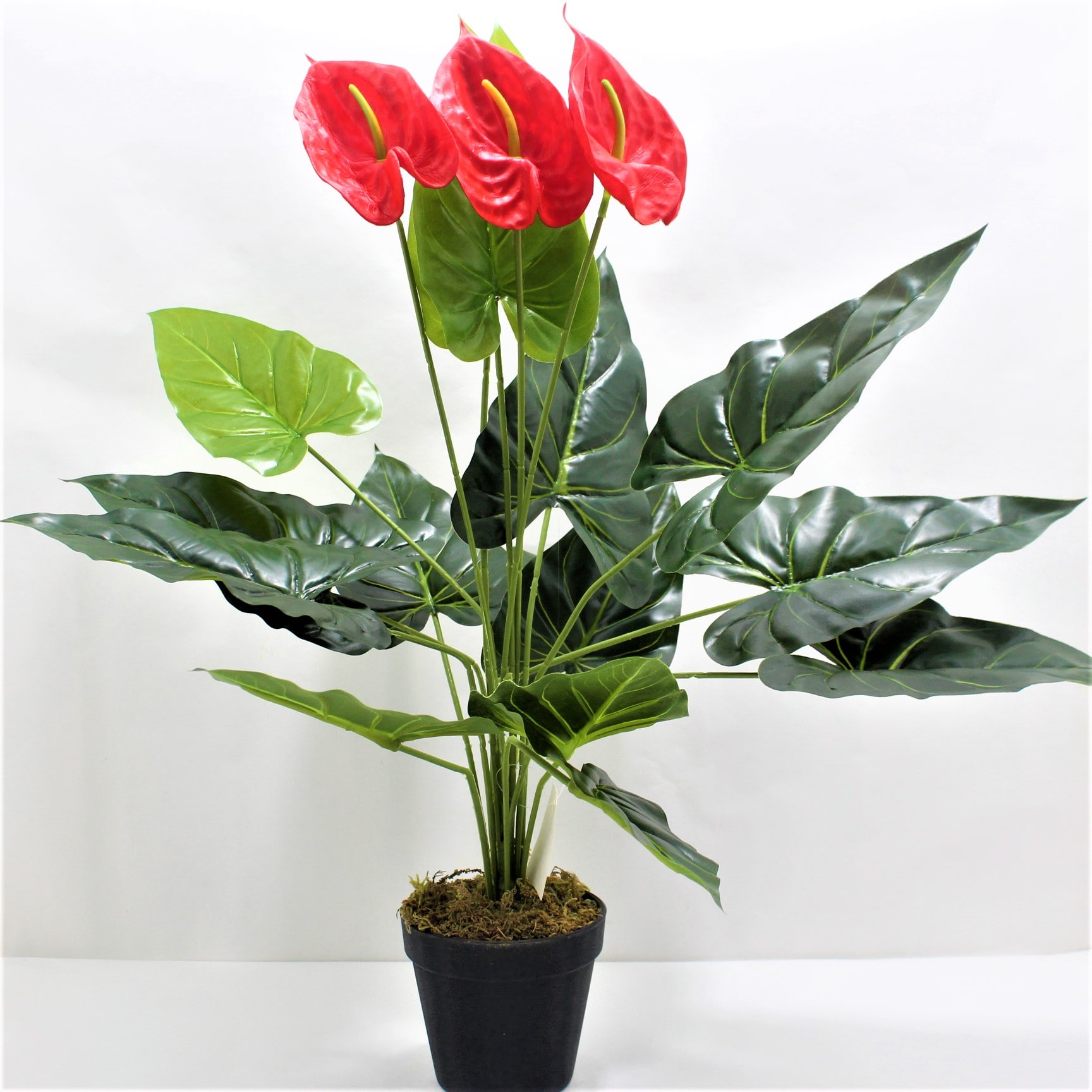 Planta artificial Anturio