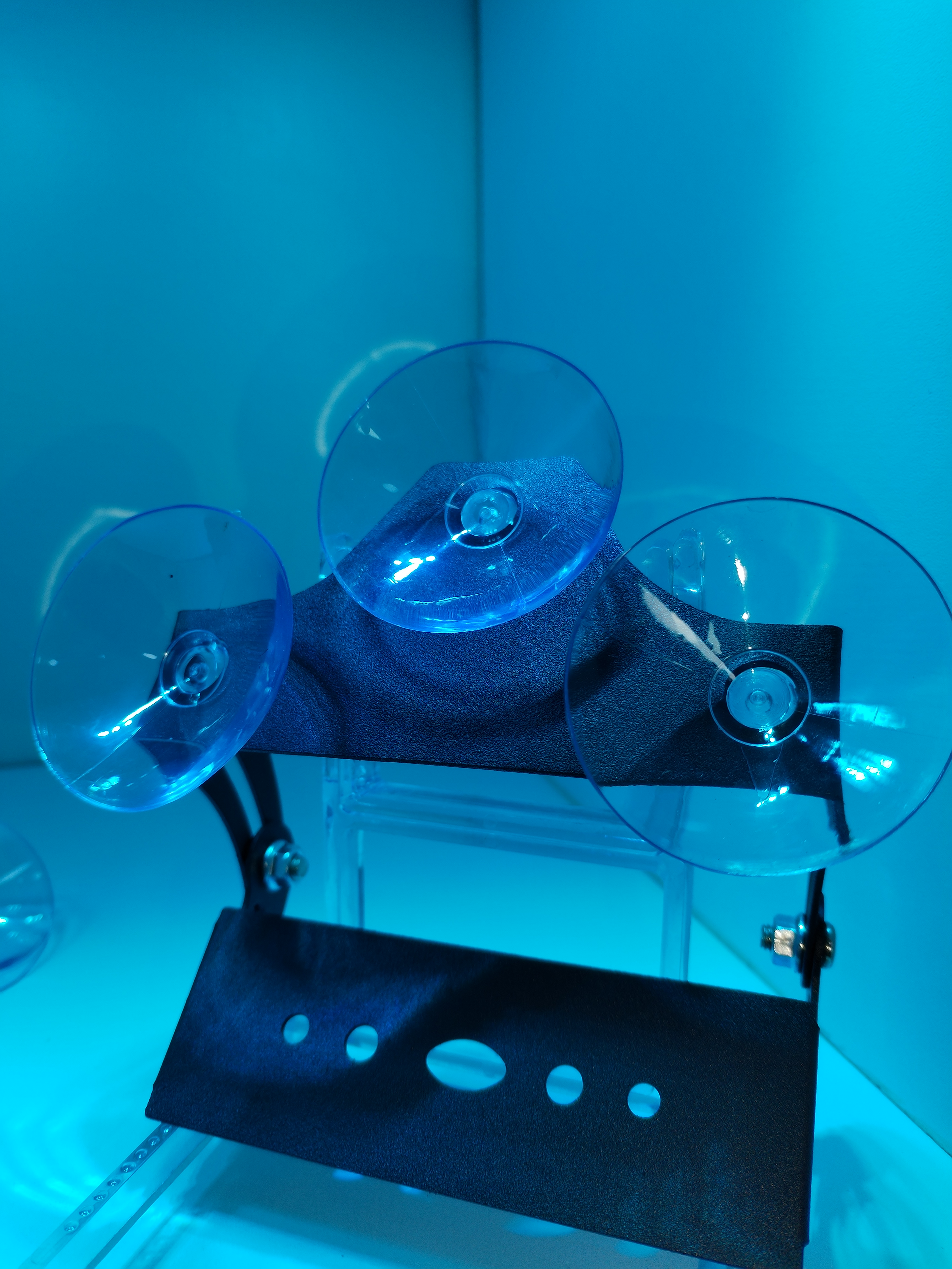 PAR BASES CHUPAS PARA BALIZAS (TB099A)