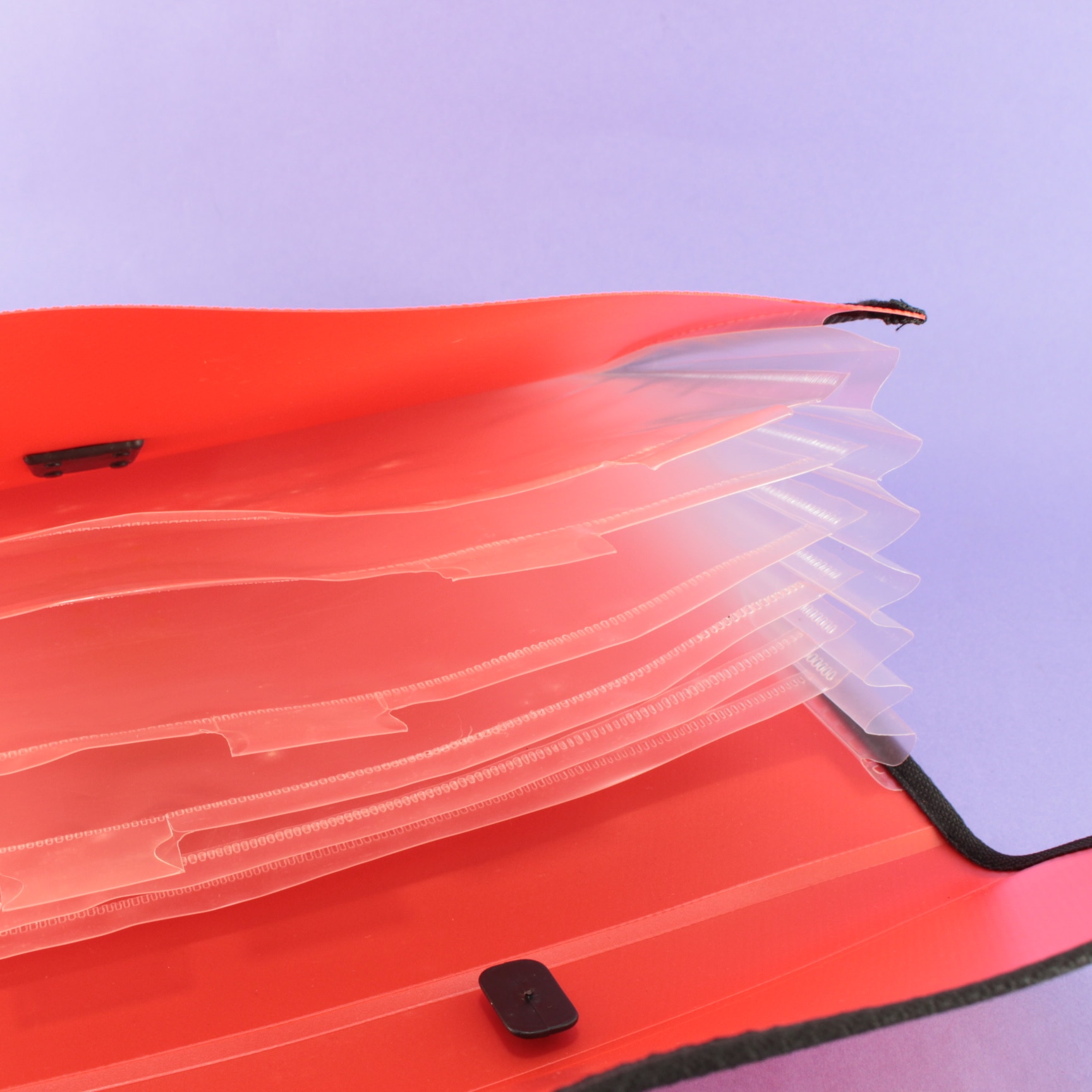 Miniatura 2 de Carpeta escolar fuelle