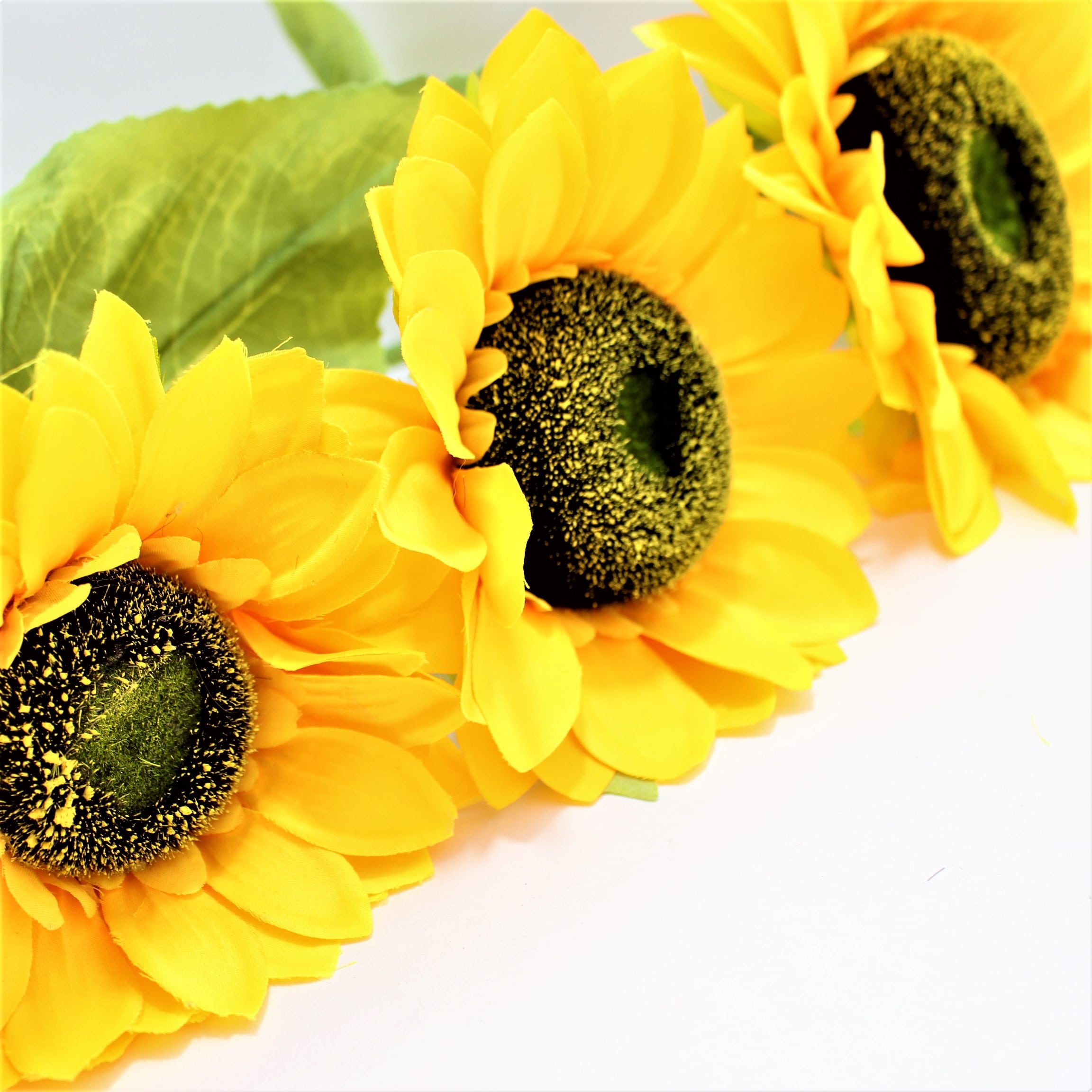 Miniatura 4 de Girasol x3 Gigante