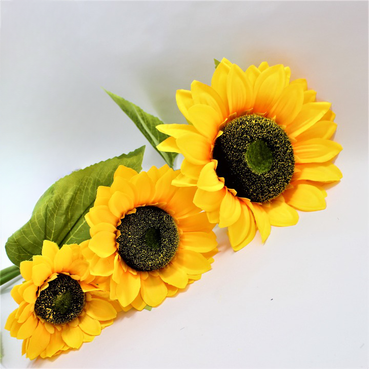 Miniatura 3 de Girasol x3 Gigante