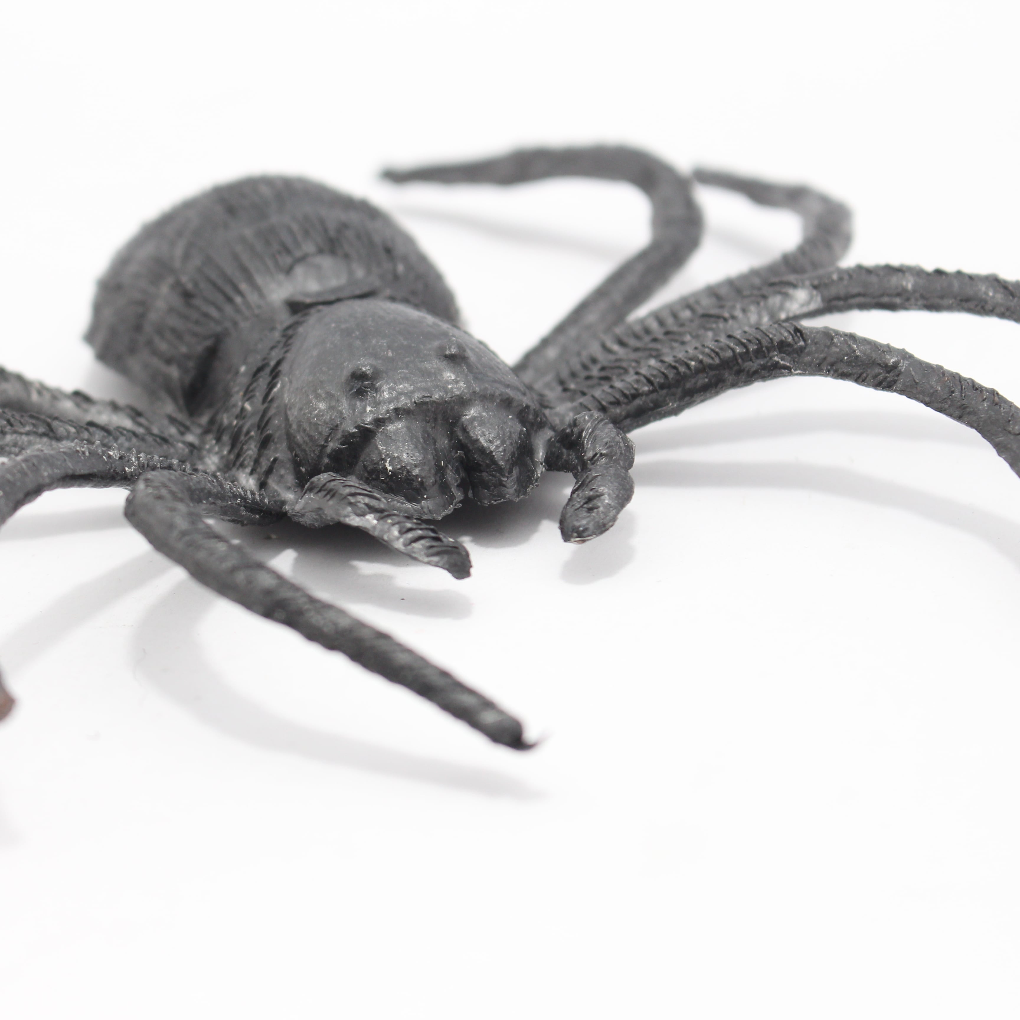 Miniatura 2 de TARANTULA NEGRA GIGANTE X1
