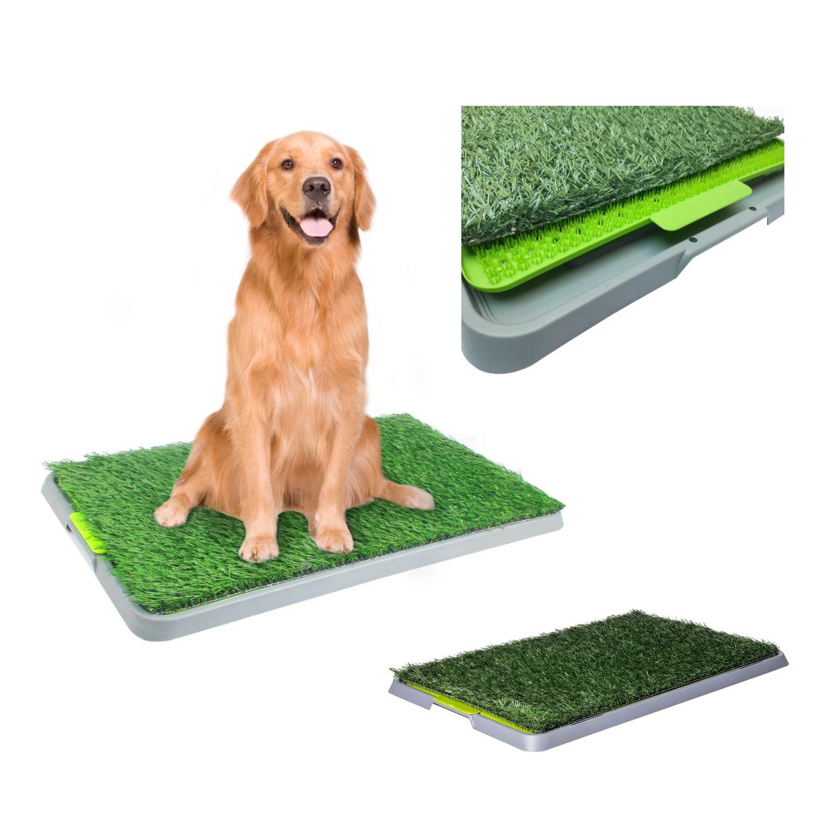 Tapete Entrenamiento Grande Perro 4