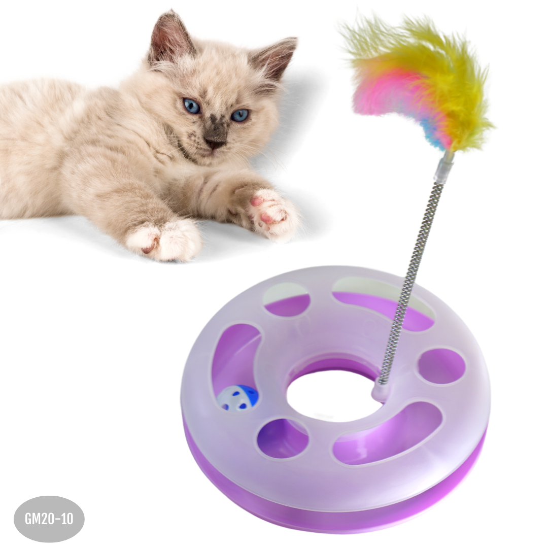 Placa Giratoria Interactiva Con Bola