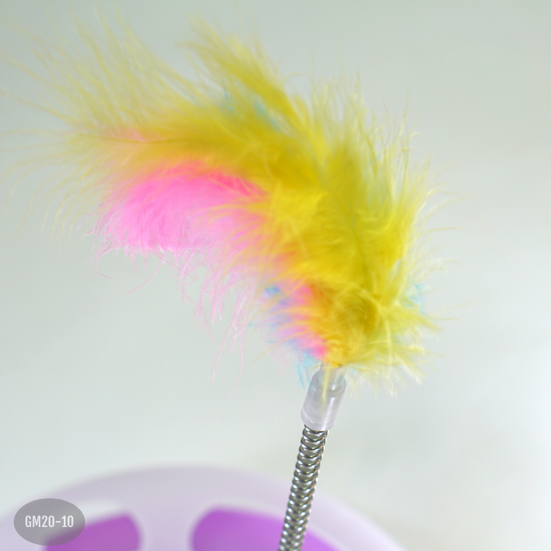 Miniatura 3 de Placa Giratoria Interactiva Con Bola