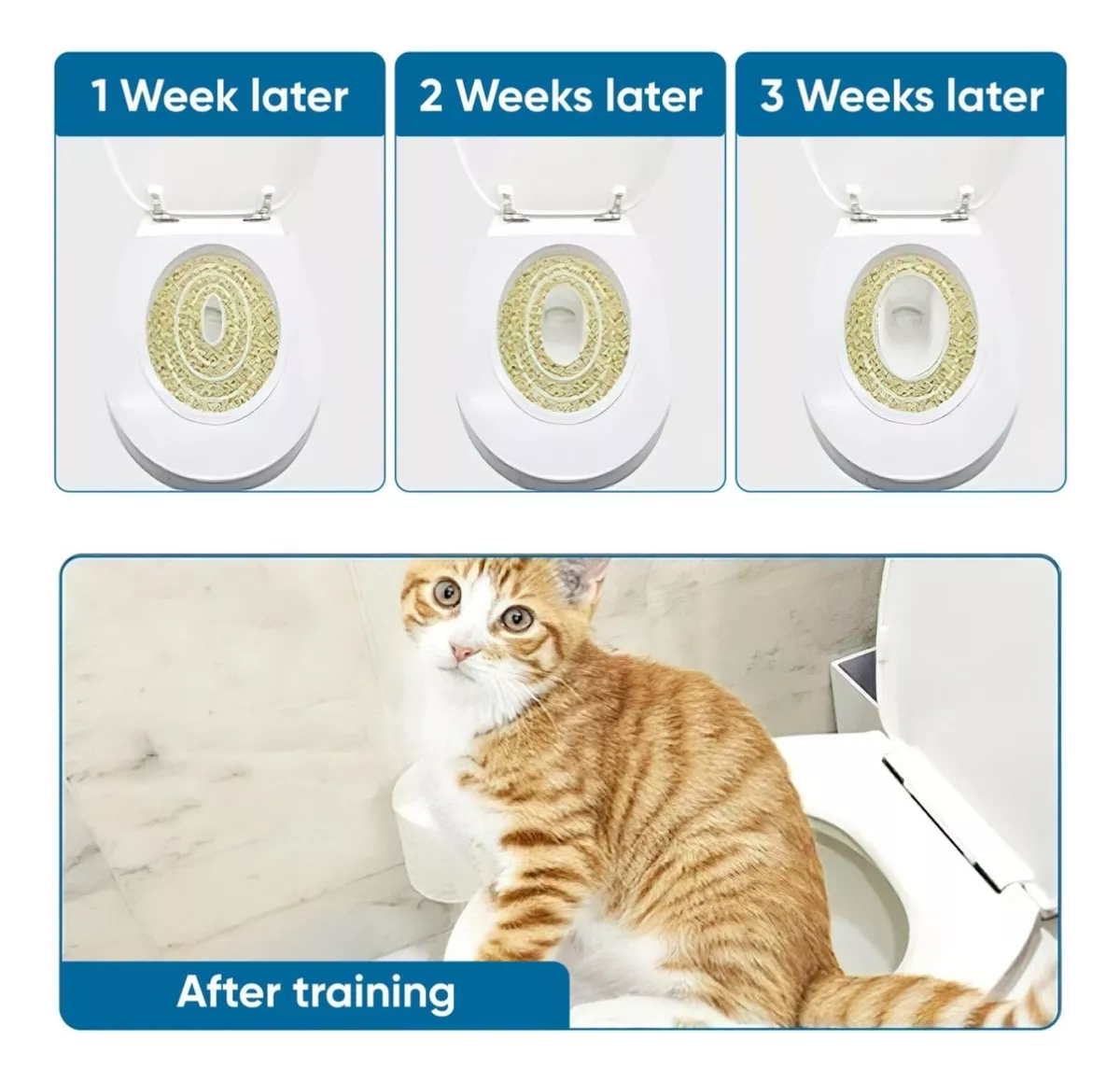 Miniatura 6 de TAPA INODORO PARA GATOS