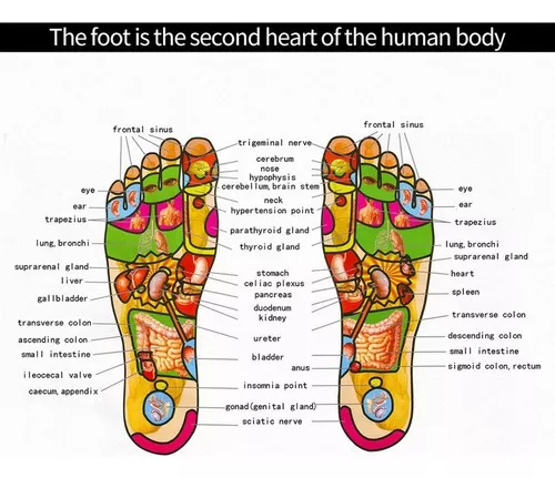 Miniatura 5 de Tapete Masajeador Pies electrodos USB