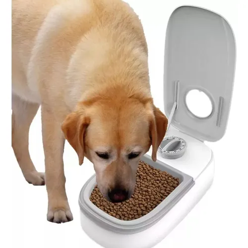 Miniatura 3 de Comedero Temporalizado 2 Puestos