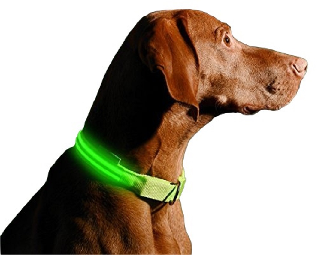 Collar Luz Led Reflectivo Perros 5
