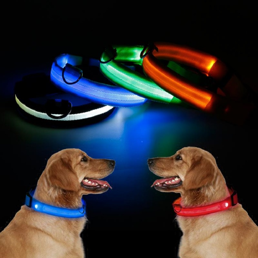 Collar Luz Led Reflectivo Perros 2