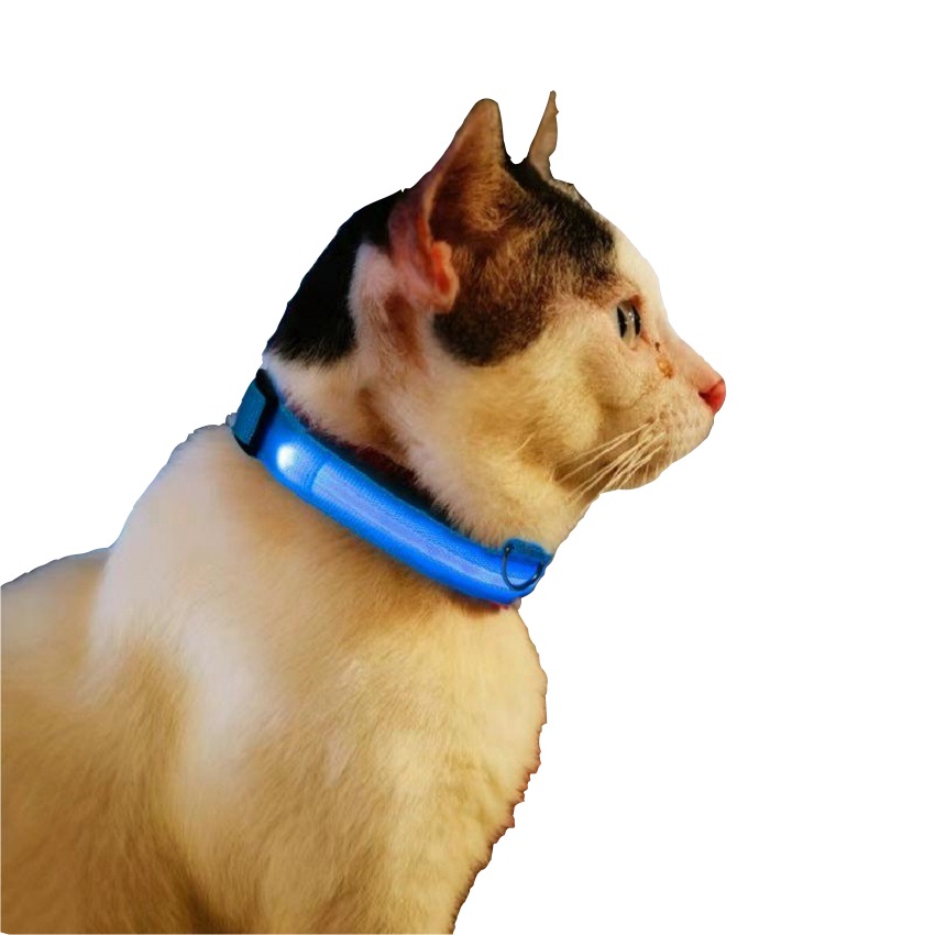 Collar Luz Led Reflectivo Perros 3
