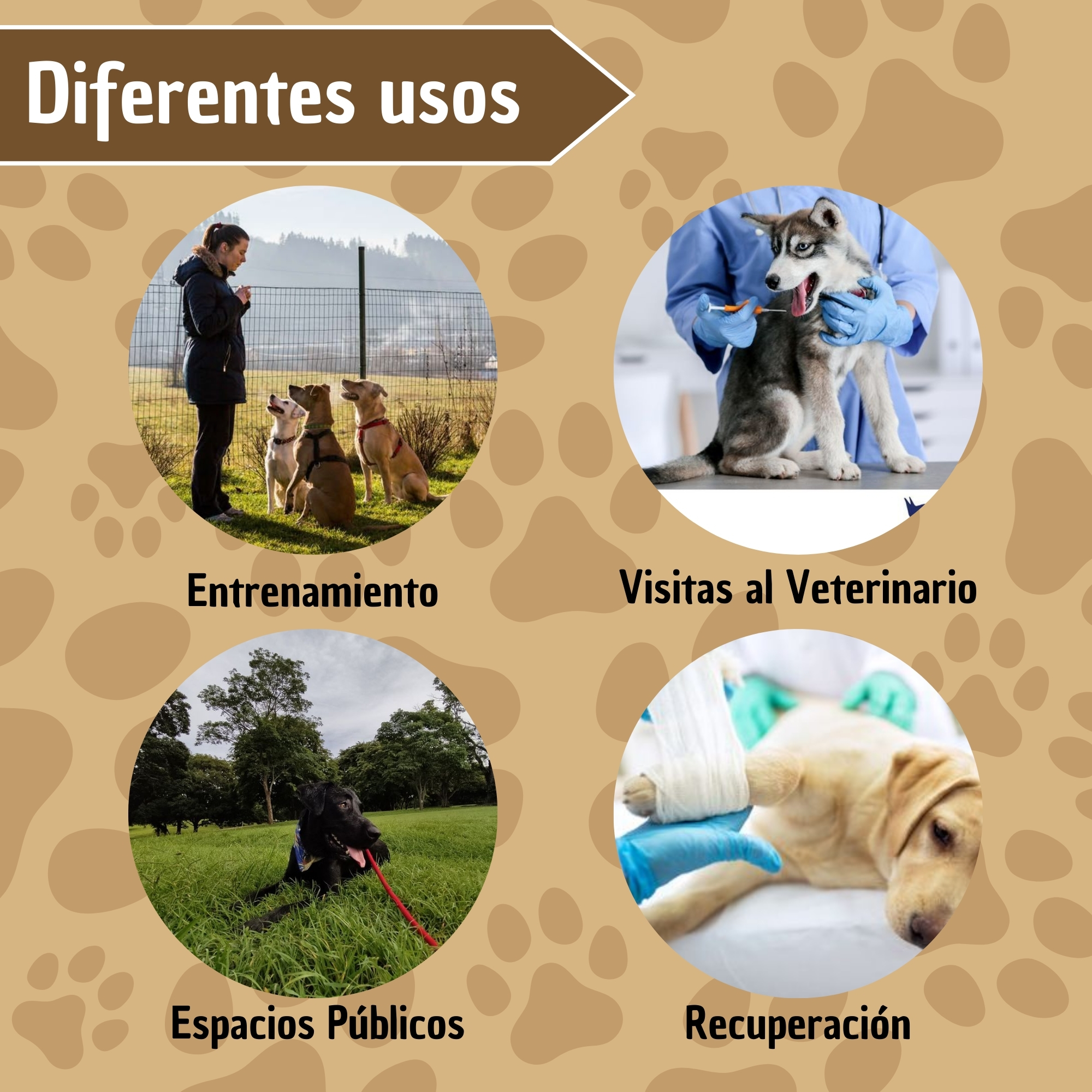 Collar Para Perro Bozal De Entrenamiento Halti 6