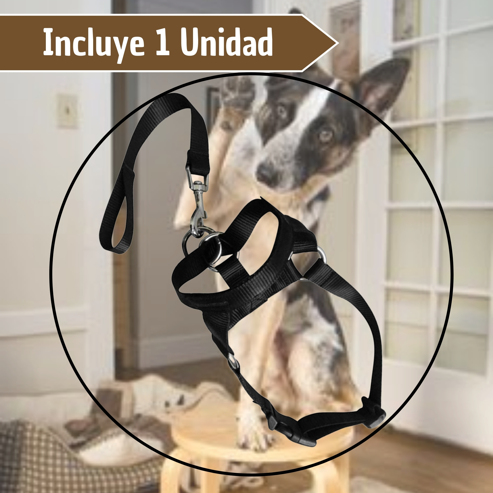 Collar Para Perro Bozal De Entrenamiento Halti 3