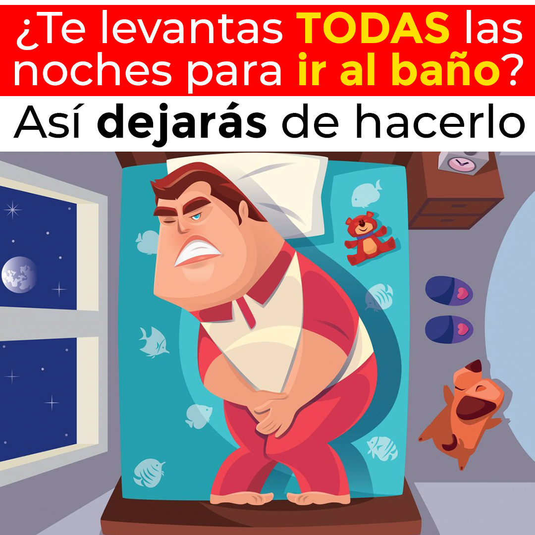 Miniatura 3 de H-100 500 ML