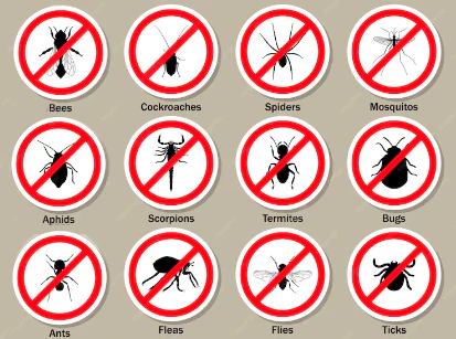 Miniatura 2 de Bye Bye Bichos