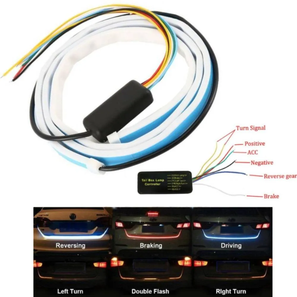 CINTA BAUL (CX01 -CX02)