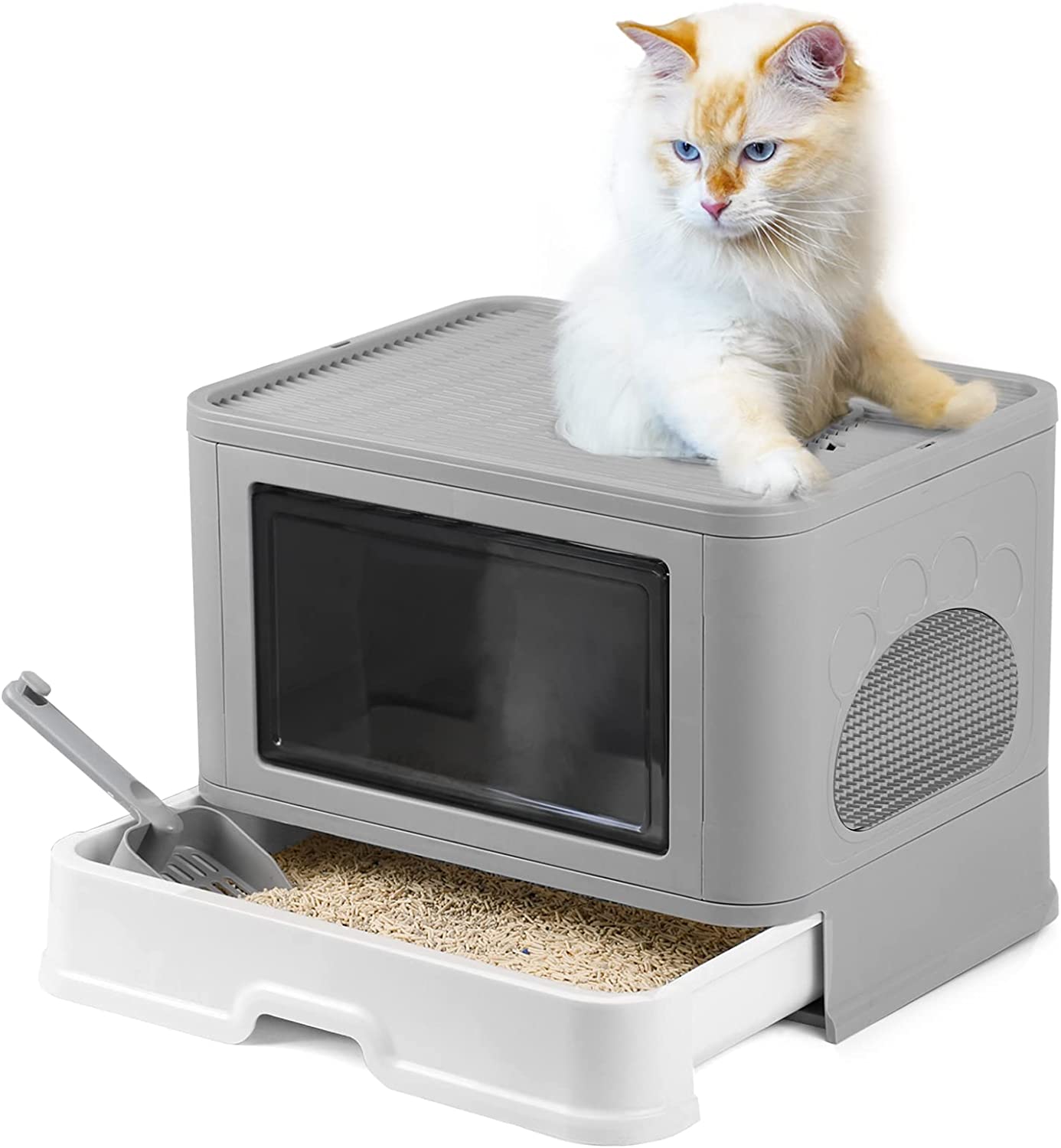 Caja De Arena Plegable Para Gatos