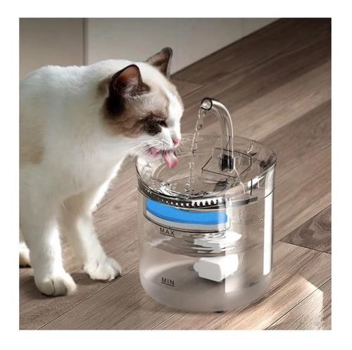 Miniatura 2 de Fuente mascota transparente