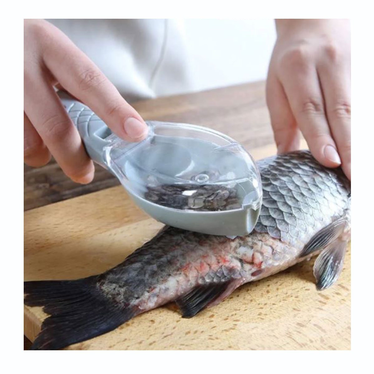 Miniatura 4 de Descamador Pescado Con Deposito