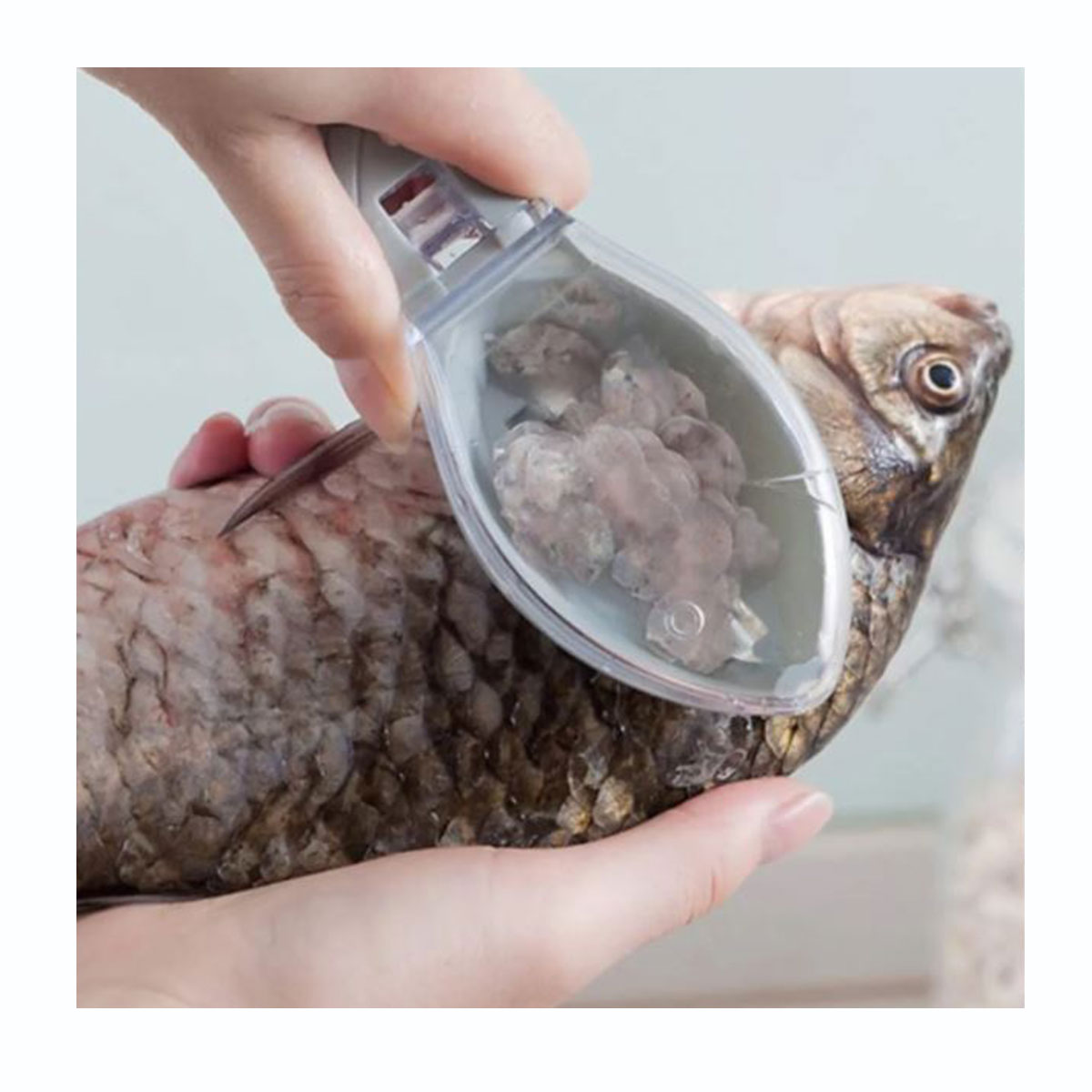 Miniatura 2 de Quita escamas de pescado