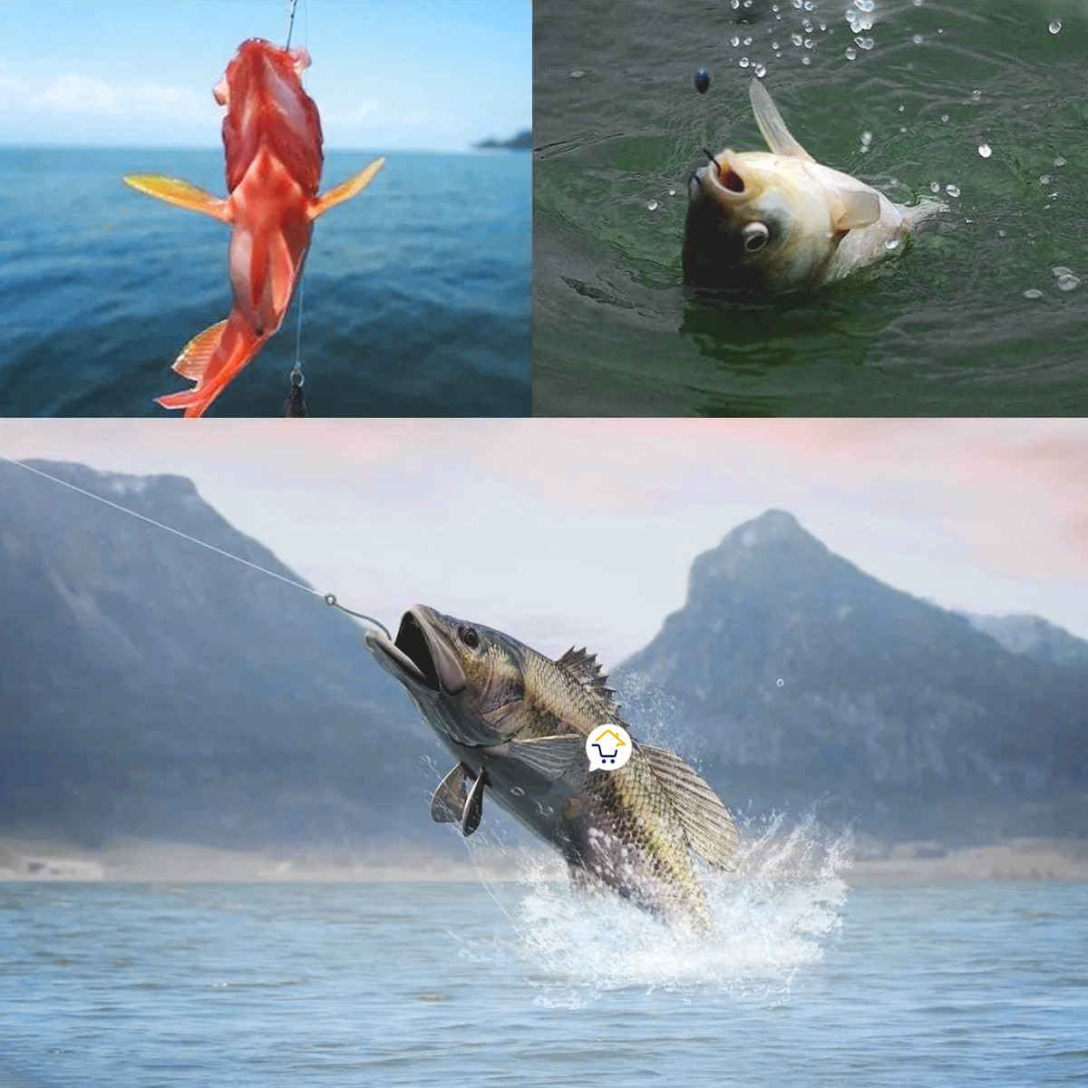 Miniatura 4 de Anzuelo Pesca Nro4 X100 Unidades DG8566