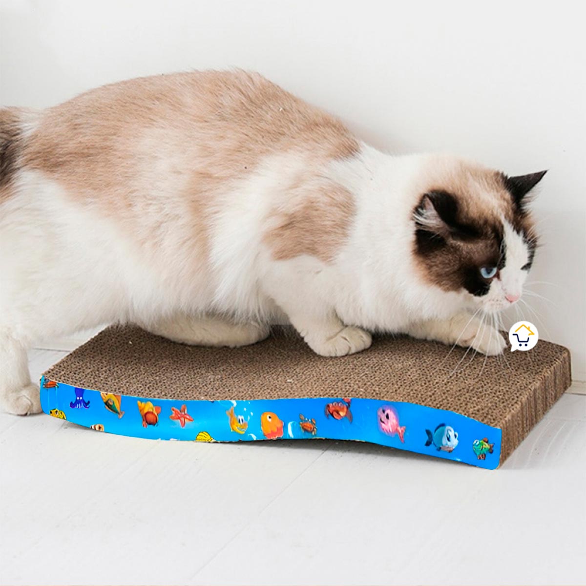 Miniatura 5 de Rascador Gatos Carton Anti 6270052