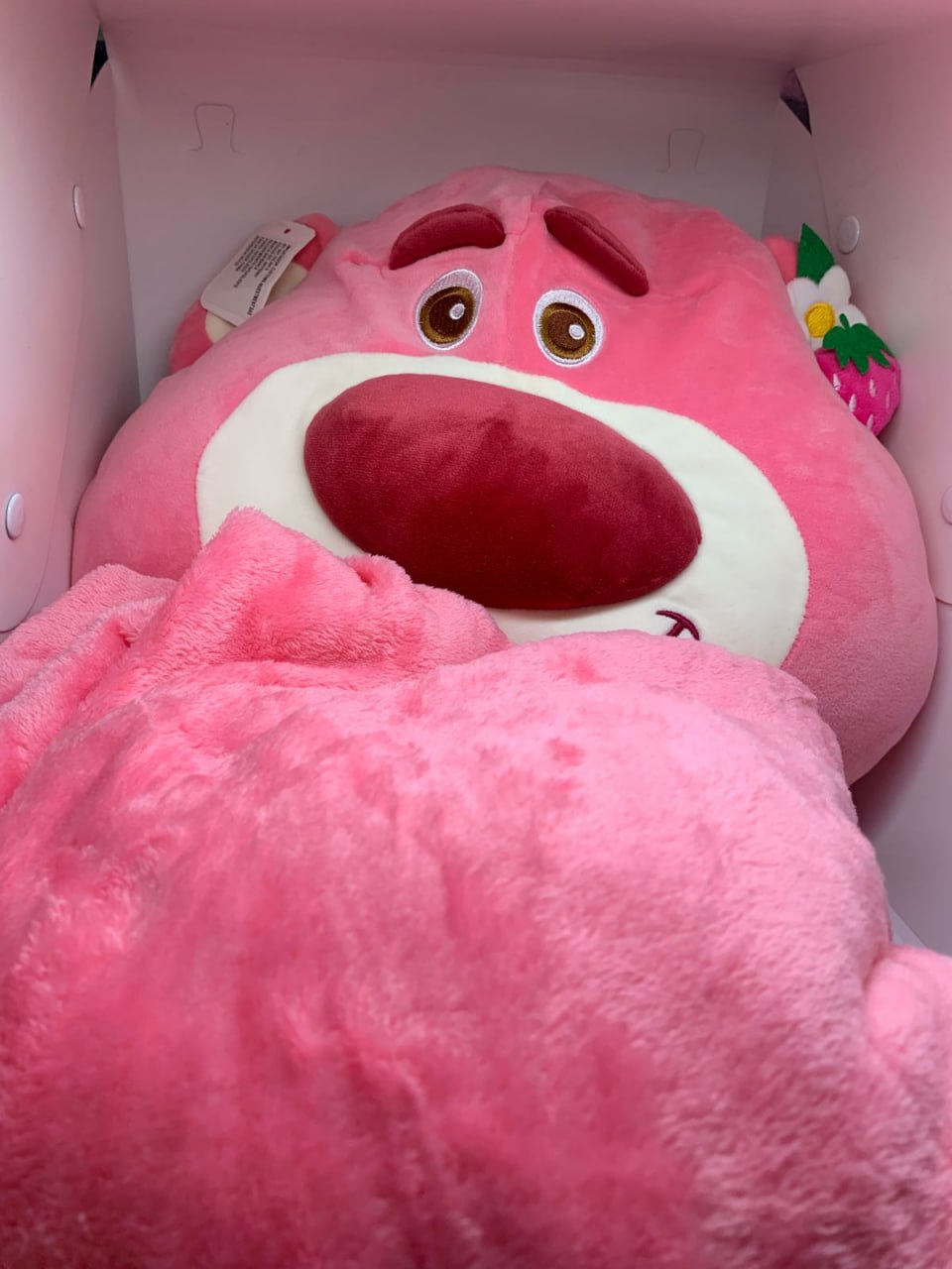 Miniatura 12 de Combo de aventura al aire libre