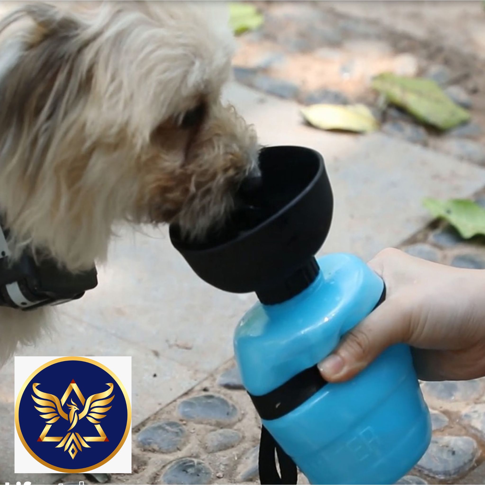 Bebedero portátil para mascotas