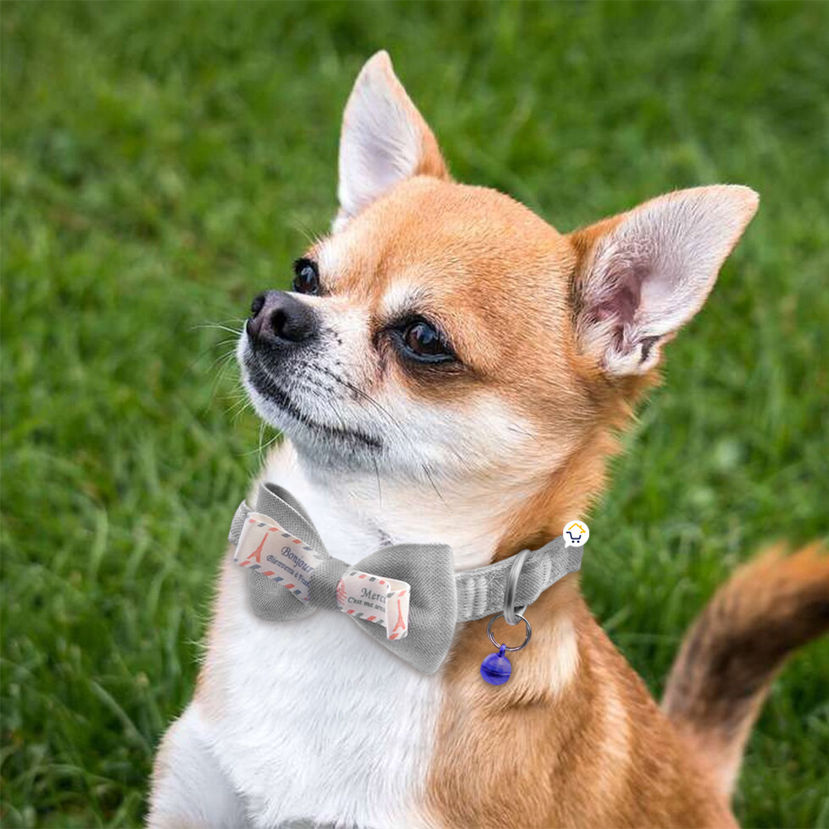 Miniatura 4 de Collar Corbatin Con Cascabel MAS44