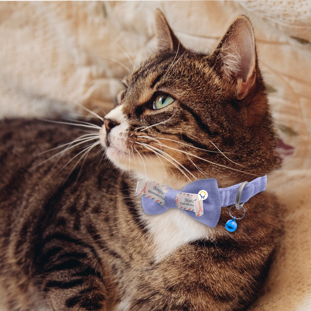 Miniatura 3 de Collar Corbatin Con Cascabel MAS44