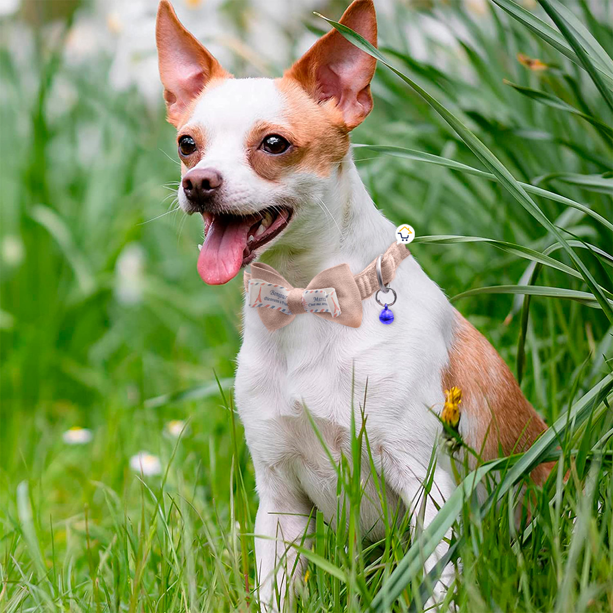 Miniatura 2 de Collar Corbatin Con Cascabel MAS44