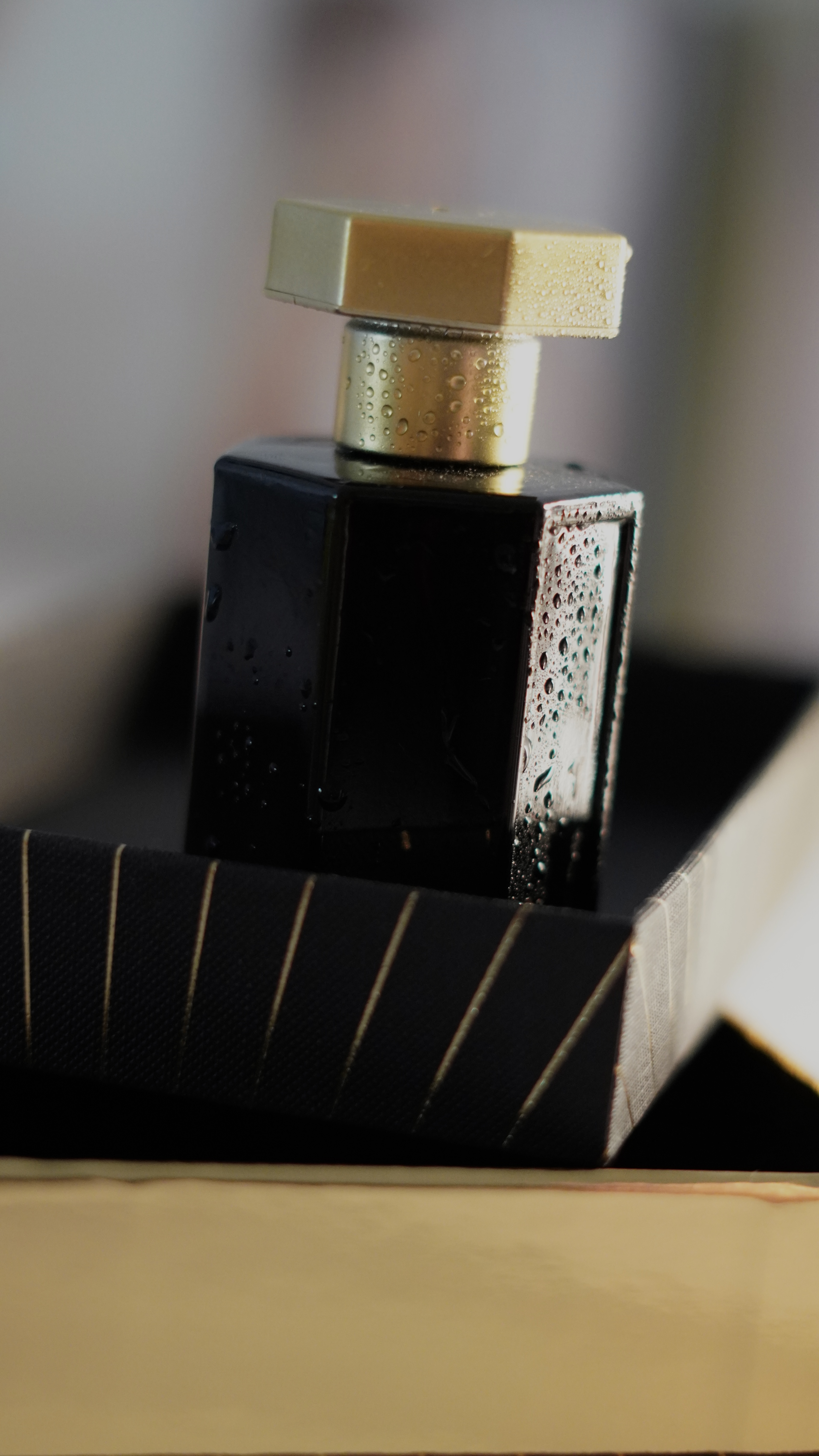 Miniatura 17 de PHARAON PARFUMS PHEROMONES PERFUME