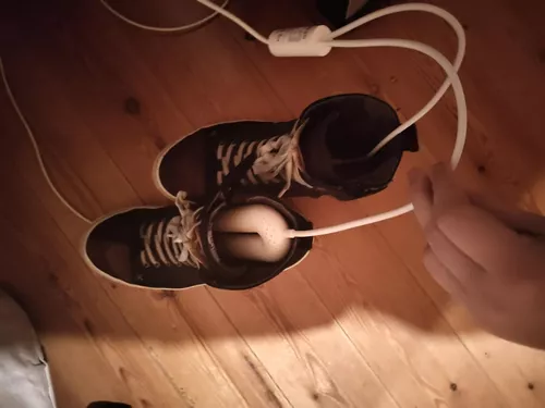 Secador calentador de zapatos eléctrico