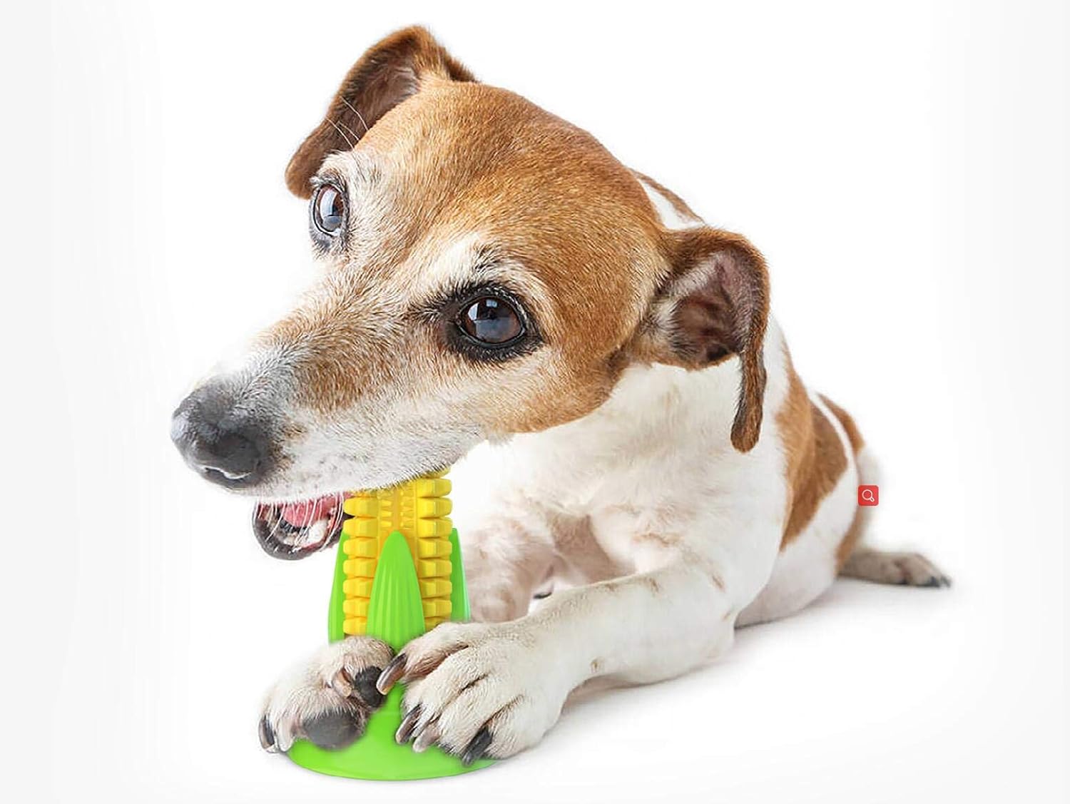 Miniatura 4 de Cepillo De Dientes Para Mascotas Mazorca