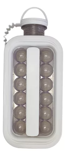 Mini Termo Botella Hielera Molde Cubos