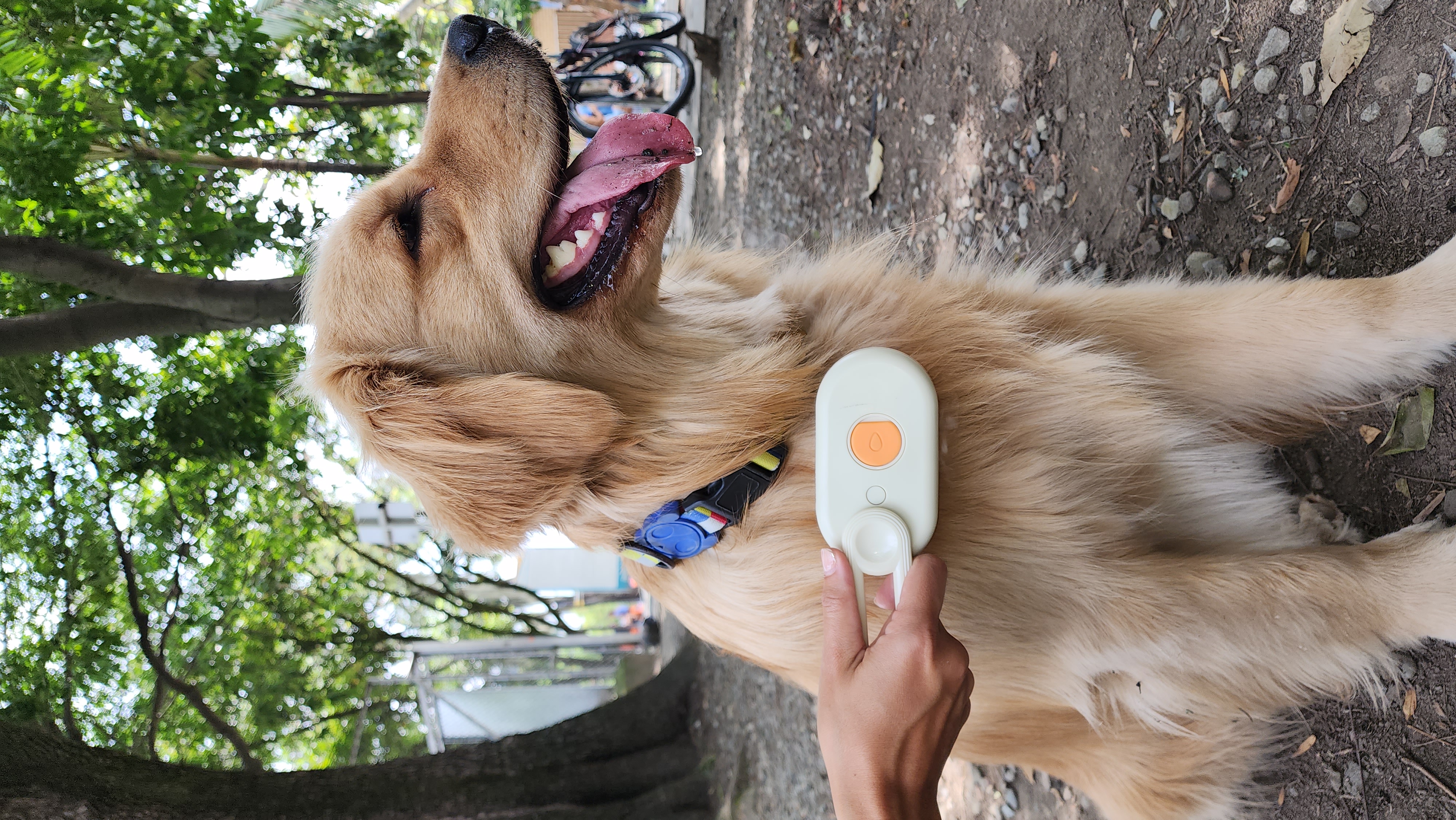 CEPILLO VAPORIZADOR PARA MASCOTAS