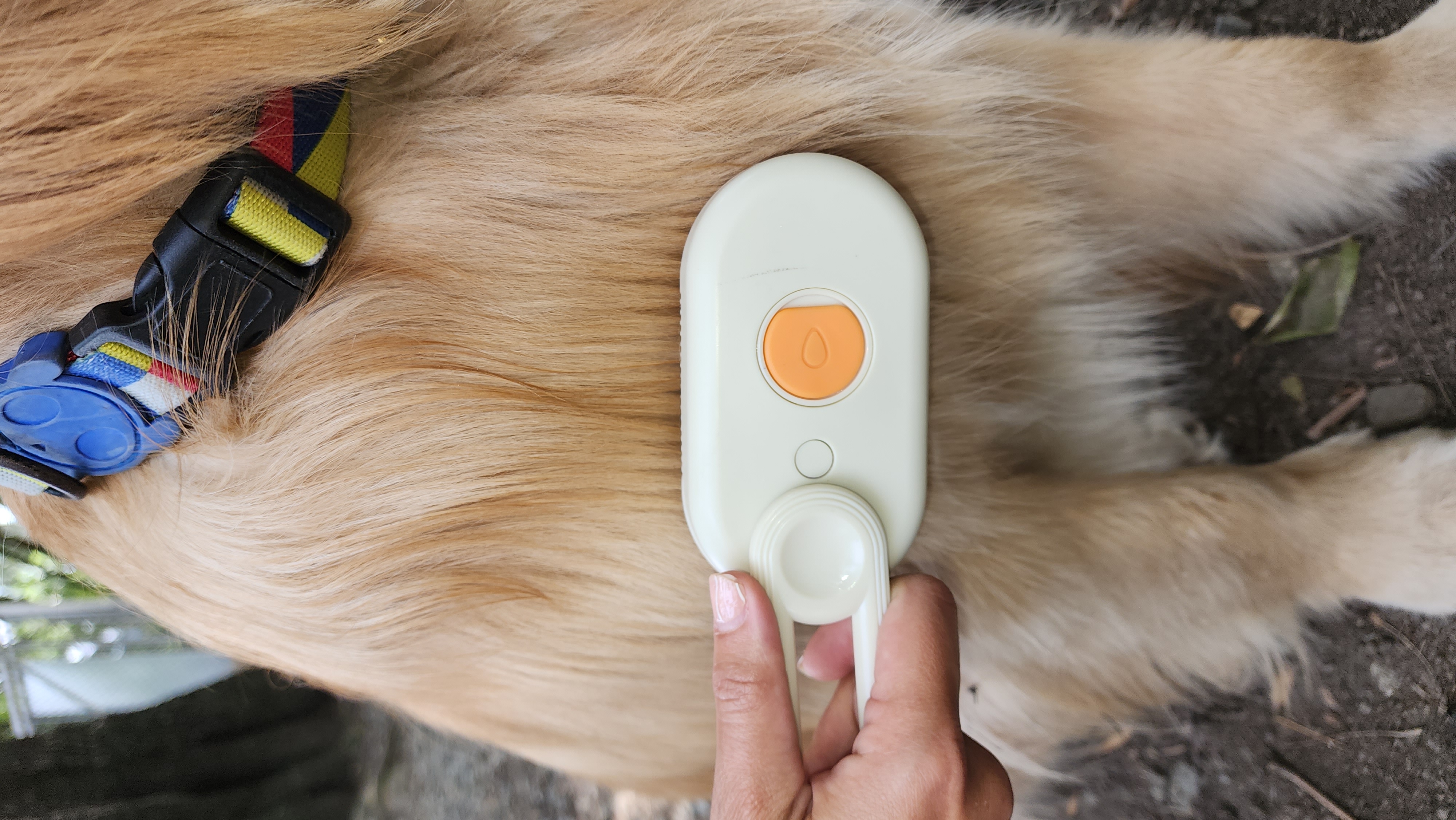 Miniatura 4 de CEPILLO VAPORIZADOR PARA MASCOTAS